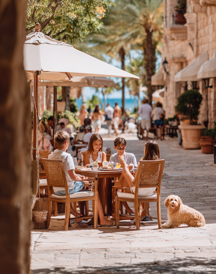 al fresco dog friendly dining